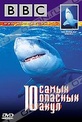 Обложка Фильм BBC: 10 самых опасных акул (Ten deadliest sharks)