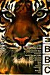 Обложка Фильм Би Би Си 3 / BBC 3