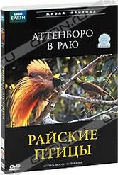 Обложка Фильм BBC: Аттенборо в раю: Райские птицы (Attenborough in paradise)