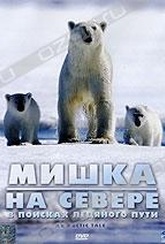 Обложка Фильм Мишка на севере (Arctic tale)