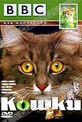 Обложка Фильм BBC: Кошки (Cats)