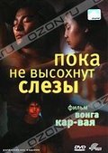 Обложка Фильм Пока не высохнут слезы (Wong gok ka moon / as tears go by)