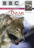 Обложка Фильм BBC: Волк. Лесной разбойник (Wolf)