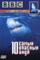 Обложка Фильм BBC 10 самых опасных акул (Ten deadliest sharks)