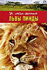 Обложка Фильм Львы Пинды (Lions of phinda, the)