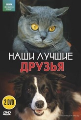 Обложка Фильм ВВС Наши лучшие друзья (Cat connection / secret life of the dog, the)