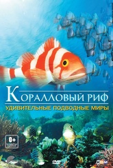 Обложка Фильм Коралловый риф удивительные подводные миры (Facination coral reef: mysterious worlds under water)