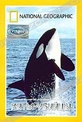 Обложка Фильм National Geographic. Киты-убийцы (Killer whales of monterey bay)