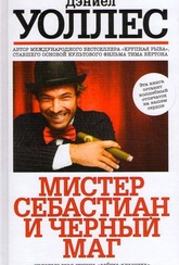 Обложка Фильм Мистер Себастиан и черный маг