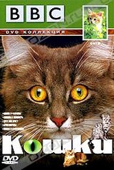 Обложка Фильм BBC: Кошки (Cats)
