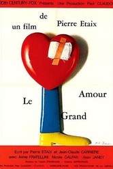 Обложка Фильм Большая любовь (Le grand amour)