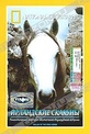 Обложка Фильм National Geographic. Ирландские скакуны (Ballad of the irish horse)