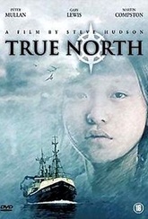 Обложка Фильм Настоящий север (True north)