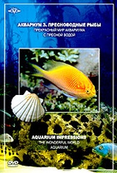 Обложка Фильм Аквариум 3. Пресноводные рыбы (Aquarium impressions. the wonderful world aquarium)