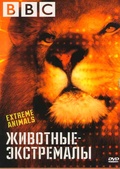 Обложка Фильм BBC Животные экстремалы (Extreme animals)