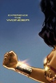 Обложка Фильм Чудо женщина (Wonder woman)