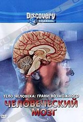 Обложка Фильм Discovery: Тело человека: Грани возможного. Человеческий мозг (Discovery: human body: pushing the limits. brainpower)