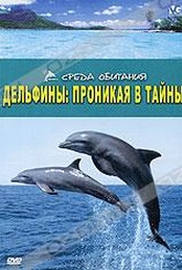 Обложка Фильм Дельфины: Проникая в тайны (Dolphins - the code breaker)