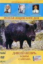 Обложка Фильм Живая энциклопедия: Дикий вепрь (Кабан / бобр / сайгак)