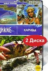 Обложка Фильм BBC: Дикие Карибы  (Wild caribbean)