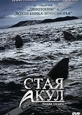 Обложка Фильм Стая акул (Shark swarm)
