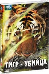Обложка Фильм BBC: Тигр - убийца (Tiger kill)