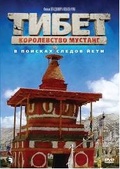 Обложка Фильм Тибет Королевство Мустанг В поисках следов Йети