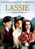 Обложка Фильм Лесси Возвращается домой (Lassie come home)