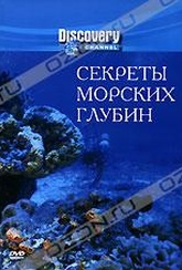 Обложка Фильм Discovery: Секреты морских глубин