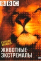 Обложка Фильм BBC Животные экстремалы (Extreme animals)