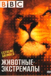 Обложка Фильм BBC Животные экстремалы (Extreme animals)