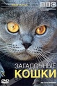 Обложка Фильм BBC: Загадочные кошки (Cat connection, the)