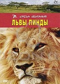 Обложка Фильм Львы Пинды (Lions of phinda, the)