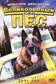 Обложка Фильм Великолепный пес (Cool dog)